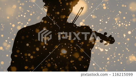 Image of light spots moving over silhouette of man playing violin 116215099