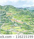 Landscape with rice terraces and blue sky 116215199