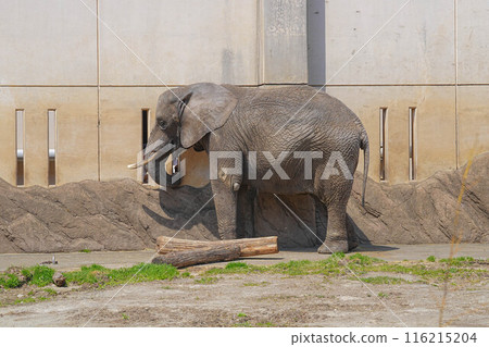 盛岡動物園 盛岡動物園 116215204