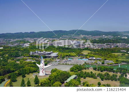 Suita, Osaka Expo Park (central and eastern parts) seen from the Ferris wheel (north facing, early summer) 116215404