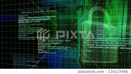 Image of padlock, computer language, letters, numbers and padlock over server room 116215486