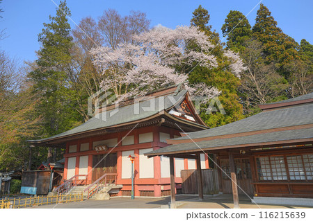 Morioka Hachimangu Shrine 116215639