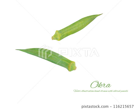 簡單的秋葵切圖素材 116215657