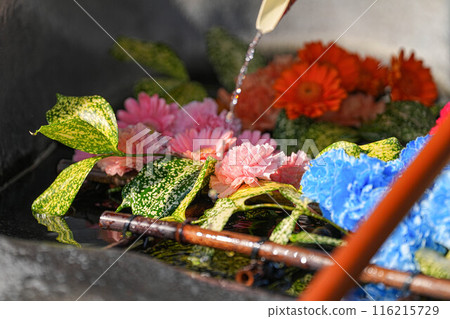 盛岡八幡宮 116215729