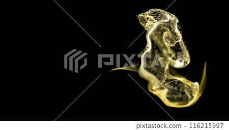 Image of golden digital wave against black background Image of golden digital wave against black background 116215997