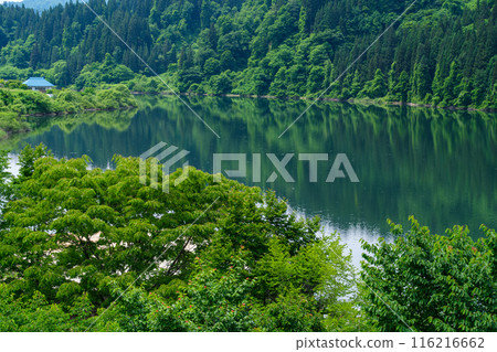Reflected on the river Reflected on the river 116216662