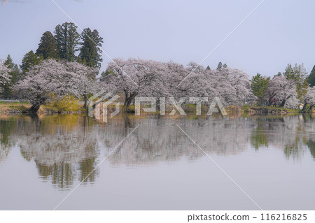 五郎沼 五郎沼 116216825