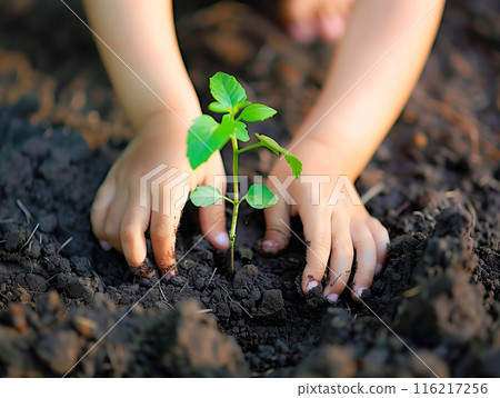 Kids hands planting a young tree, closeup in dark soil, environmental care theme, vibrant and hopeful, ideal for stock photos 116217256