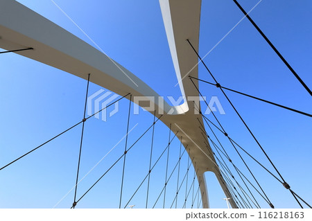 新橋辰巳（東京都江戶川區） 116218163