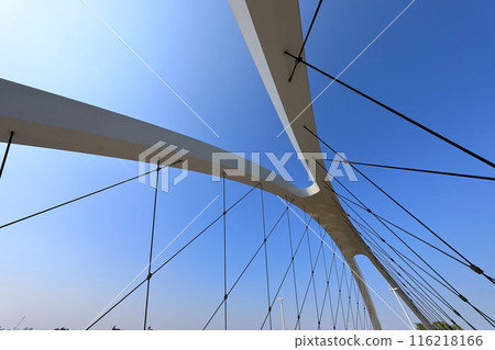 新橋辰巳（東京都江戶川區） 116218166