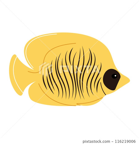 Hand drawn cartoon chaetodon. Vector illustration of tropical butterfly fish in doodle style. Suitable for decoration, sticker design Hand drawn cartoon chaetodon. Vector illustration of tropical butterfly fish in doodle style. Suitable for decoration, sticker design 116219006