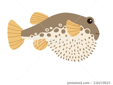 Hand drawn cartoon pufferfish. Vector illustration of a poisonous spiny fish in doodle style. Suitable for decoration, sticker design 116219025