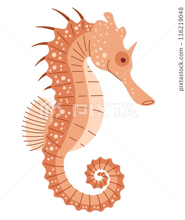 Hand drawn cartoon seahorse. Vector illustration of sea animal in doodle style. Suitable for decoration, sticker design Hand drawn cartoon seahorse. Vector illustration of sea animal in doodle style. Suitable for decoration, sticker design 116219048