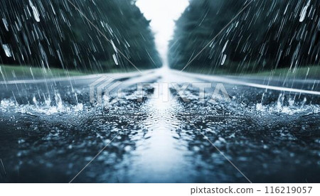 雨水浸濕道路 116219057