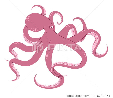 Hand drawn cartoon pink octopus. Vector illustration of sea animal in doodle style. Suitable for decoration, sticker design Hand drawn cartoon pink octopus. Vector illustration of sea animal in doodle style. Suitable for decoration, sticker design 116219064