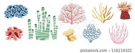 Set of flat seaweeds, corals, reefs on a white background. Vector illustration of aquatic plants in doodle style. Suitable for decoration, sticker design Set of flat seaweeds, corals, reefs on a white background. Vector illustration of aquatic plants in doodle style. Suitable for decoration, sticker design 116219101