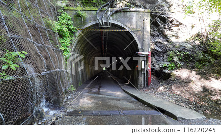須俁峽_天子隧道 須俁峽_天子隧道 116220245