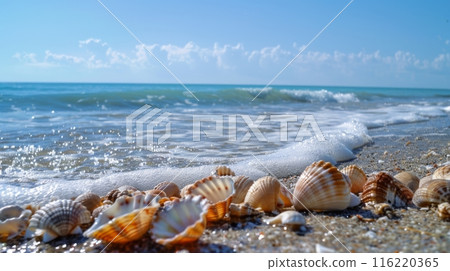 Seashells on Sandy Beach with Ocean Waves 116220365