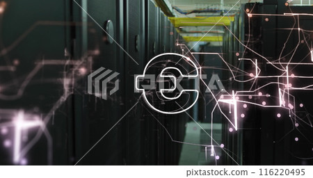Image of euro symbol over computer servers 116220495