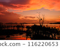 sunset over the lake 116220653