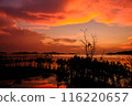 sunset over the lake 116220657