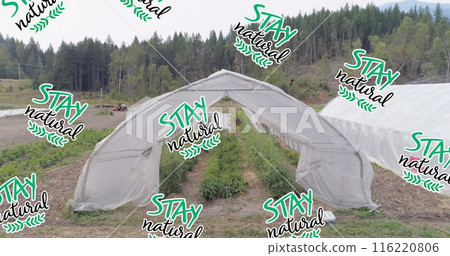 Image of stay natural text over caucasian woman gardening 116220806