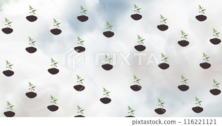 Image of stay natural text over clouds and plants 116221121