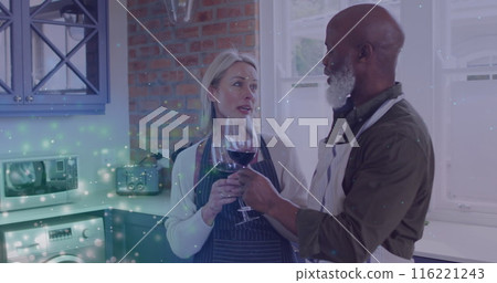 Image of lights over diverse senior couple drinking wine at home 116221243