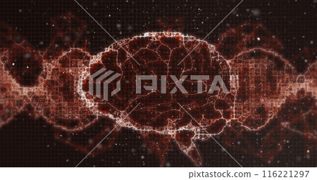 Human brain spinning against red digital waves on black background Human brain spinning against red digital waves on black background 116221297