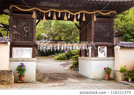 Wind chimes displayed at a shrine 116221379