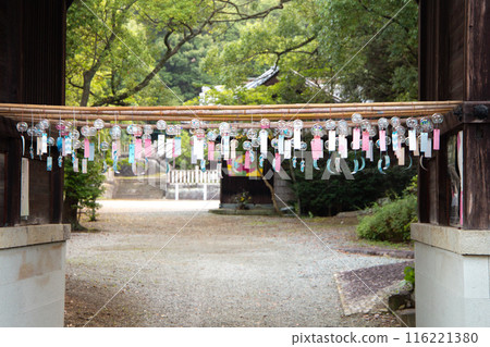 Wind chimes displayed at a shrine 116221380