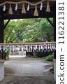 Wind chimes displayed at a shrine 116221381