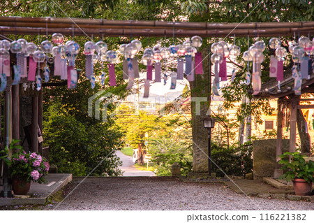神社里展示的風鈴 神社里展示的風鈴 116221382