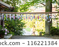 Wind chimes displayed at a shrine 116221384