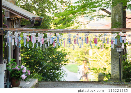 神社里展示的風鈴 神社里展示的風鈴 116221385