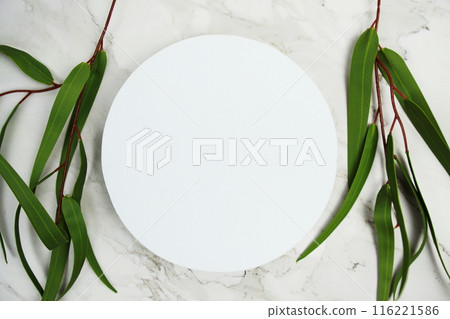 White round podium mockup product presentation concept on marble background White round podium mockup product presentation concept on marble background 116221586