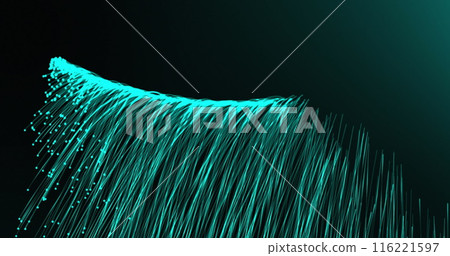 Image of green trails over black background, copy space 116221597