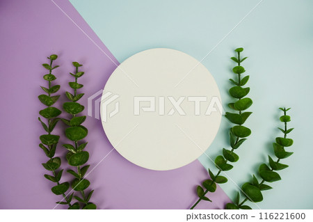 Top view of empty white circle and artificial green eucalyptus leaf decoration on blue and purple geometric background 116221600