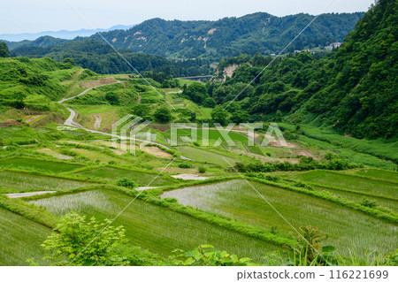 日本梯田百選：山形縣四村梯田 116221699