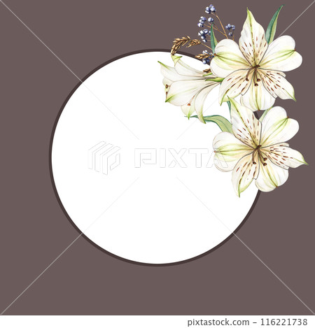 Floral Frame with White flowers. Watercolor alstroemeria flowers. Composition with Lilies close-up. Floral botanical flower for graphic designer decorate, product design and card 116221738