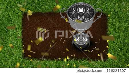 Image of confetti over cup and stadium 116221807