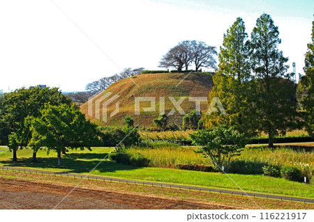Maruzukayama Tomb of the Saitama Tomb Group [Gyoda City, Saitama Prefecture] 116221917