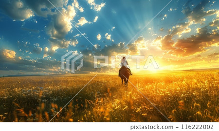 Young woman riding horse in field of flowers at sunset 116222002