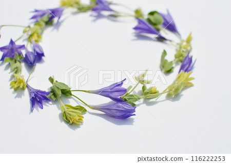 紫色小黑麥和蓮花硫磺花環 116222253