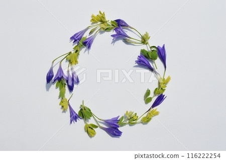 紫色小黑麥和蓮花硫磺花環 116222254