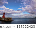 Akashi Bridge and Red Lighthouse 116222423