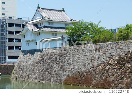 Sunpu Castle Kun Tower 116222748