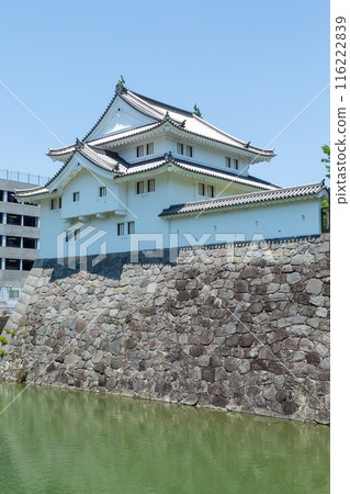 駿府城樓(羊猿櫓) 駿府城樓(羊猿櫓) 116222839