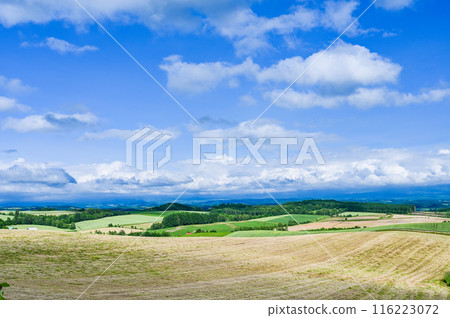 Hill scenery in Biei, Kamikawa District, Hokkaido Hill scenery in Biei, Kamikawa District, Hokkaido 116223072