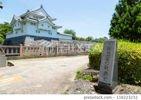 駿府城樓和家康的散步道 駿府城樓和家康的散步道 116223232